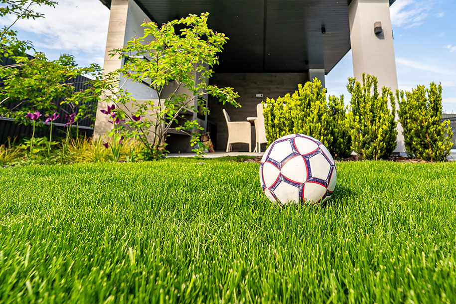 Baner_storna główna_915x610px_1